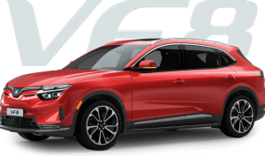 VF8